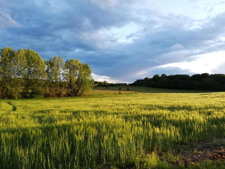 Agriturismo Con Cucina Tipica Nuova Scardua Cavriana ภายนอก รูปภาพ