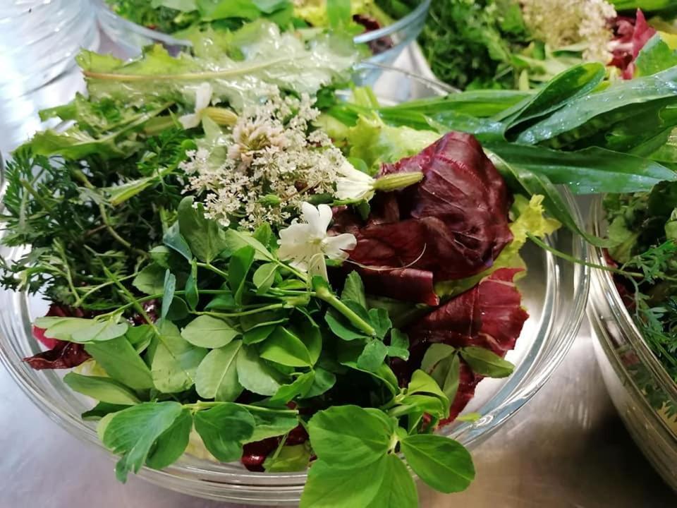 Agriturismo Con Cucina Tipica Nuova Scardua Cavriana ภายนอก รูปภาพ