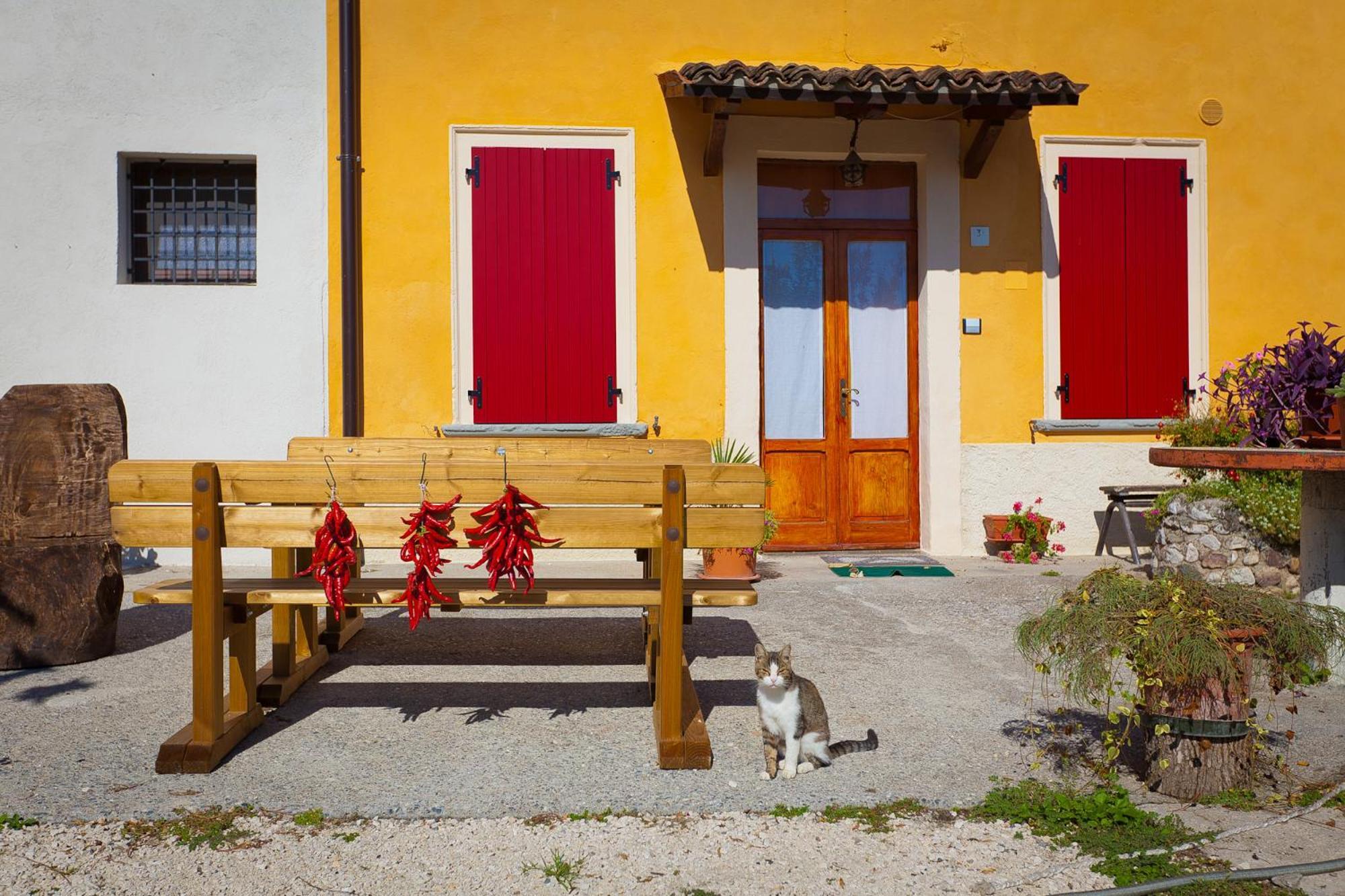Agriturismo Con Cucina Tipica Nuova Scardua Cavriana ภายนอก รูปภาพ