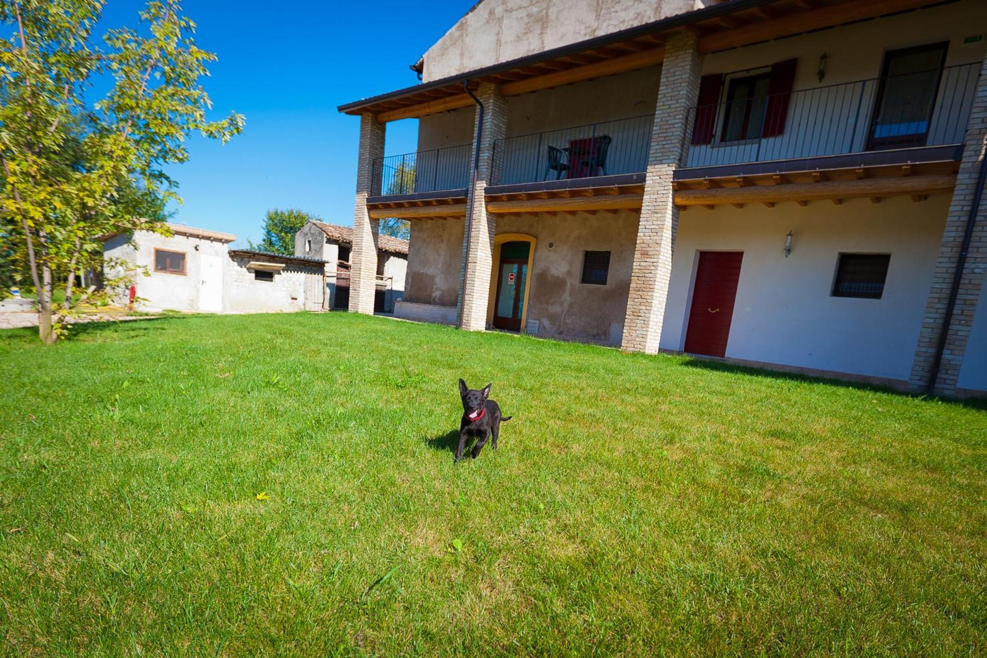 Agriturismo Con Cucina Tipica Nuova Scardua Cavriana ภายนอก รูปภาพ