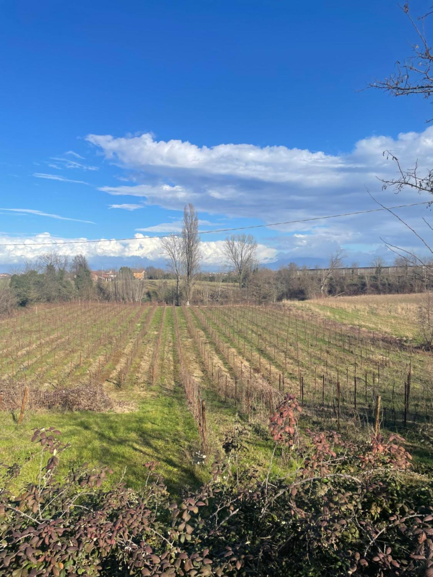 Agriturismo Con Cucina Tipica Nuova Scardua Cavriana ภายนอก รูปภาพ
